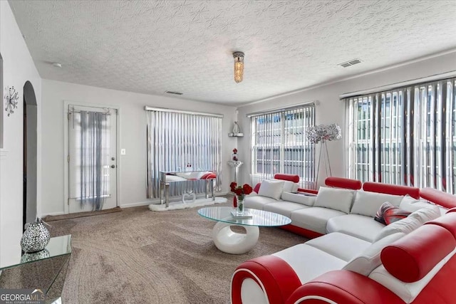 living room with carpet and a textured ceiling