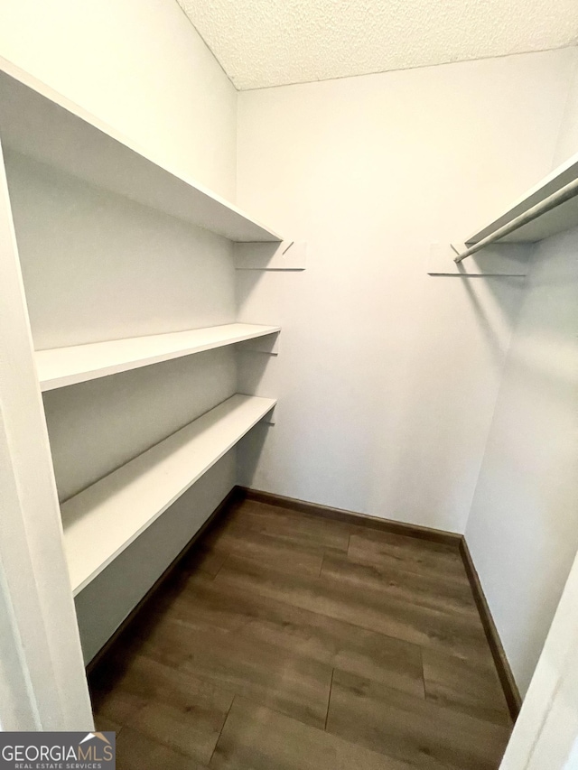 walk in closet with dark hardwood / wood-style flooring