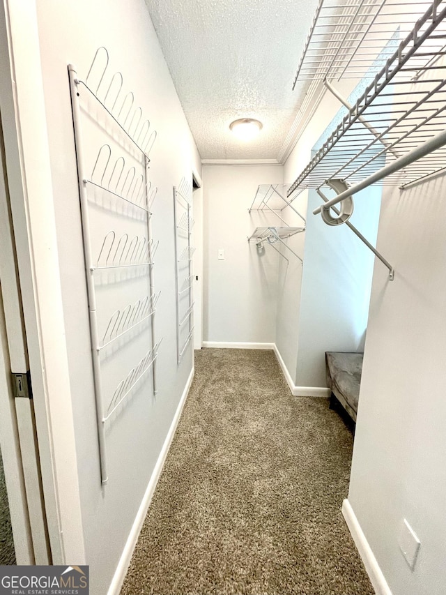 spacious closet with carpet floors