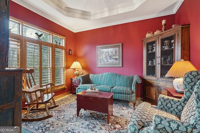 living area with a textured ceiling, ornamental molding, a raised ceiling, and baseboards