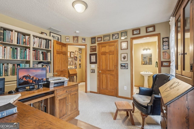 carpeted office with sink and a textured ceiling