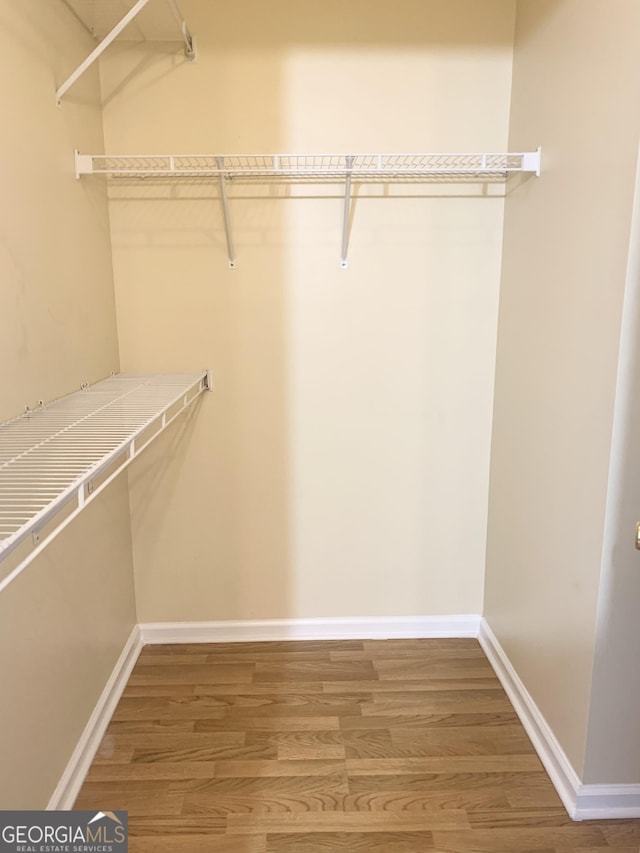 walk in closet featuring wood finished floors