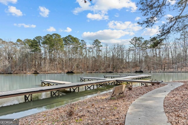 dock area with a water view