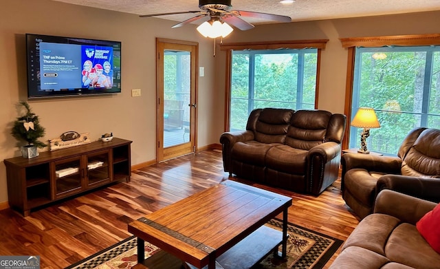 living room featuring wood-type flooring, a healthy amount of sunlight, and a textured ceiling