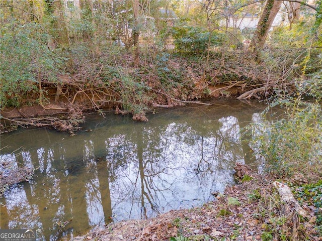 view of water feature