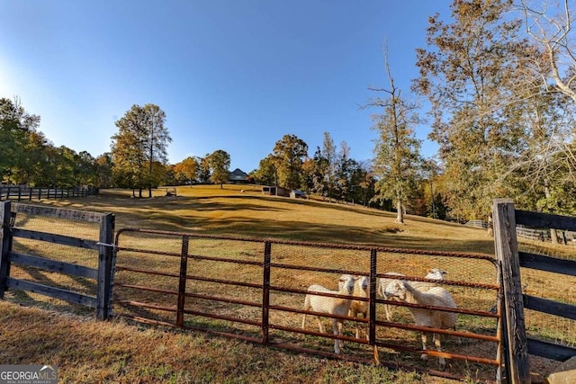 view of gate with a rural view