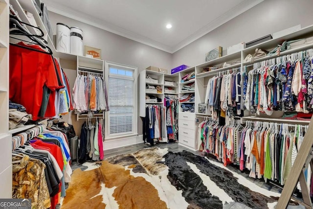 view of spacious closet