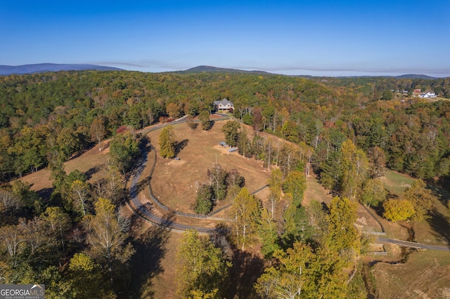 drone / aerial view featuring a mountain view