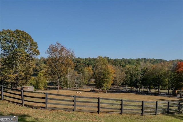 view of yard with a rural view