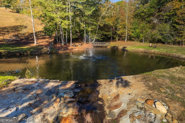 property view of water