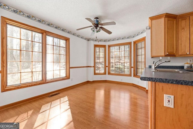 kitchen featuring sink, light hardwood / wood-style flooring, a textured ceiling, and ceiling fan