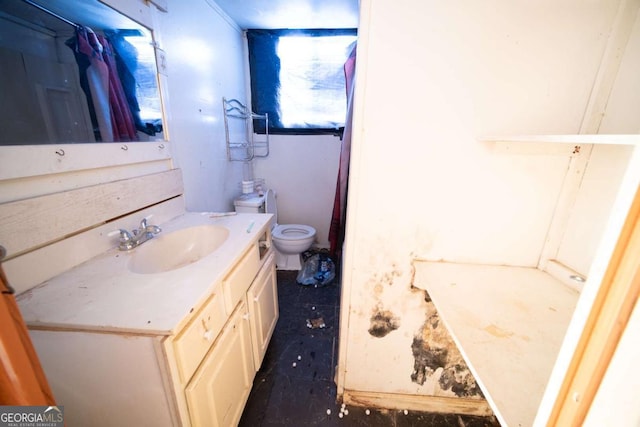 bathroom with vanity and toilet