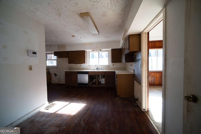 kitchen with dishwasher, sink, and dark hardwood / wood-style flooring