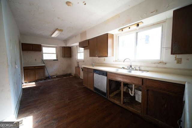 kitchen featuring sink, dark wood-type flooring, and stainless steel dishwasher