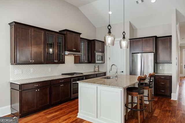 kitchen featuring vaulted ceiling, an island with sink, sink, stainless steel appliances, and light stone countertops