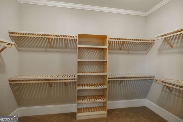 spacious closet featuring carpet flooring