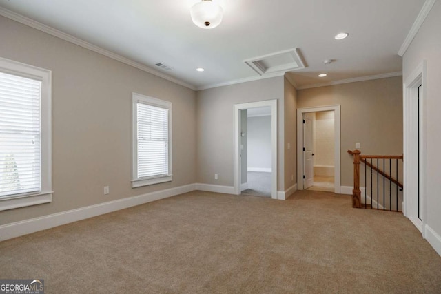 empty room featuring ornamental molding, plenty of natural light, and light carpet