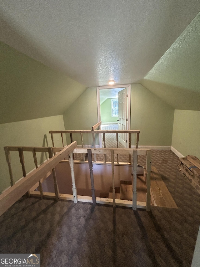 382 Lower Lovelace Rd, West Point, GA 31833 - additional living space with carpet flooring, lofted ceiling, a textured ceiling, and baseboards