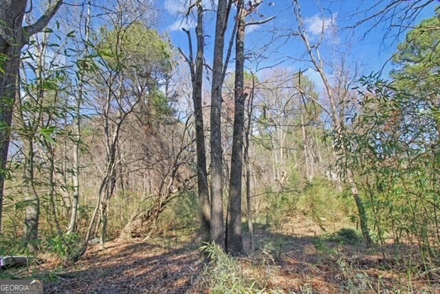 1381 Allgood Rd, Marietta, GA 30062 - view of local wilderness with a wooded view