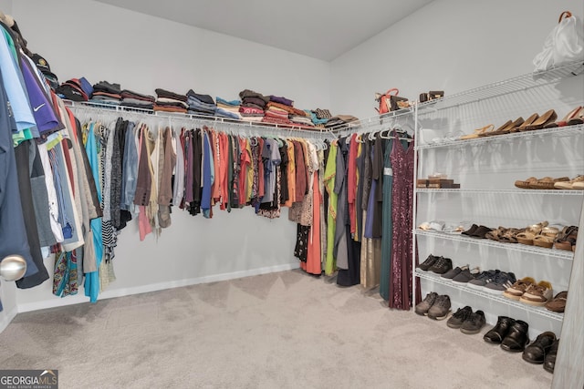 walk in closet with carpet