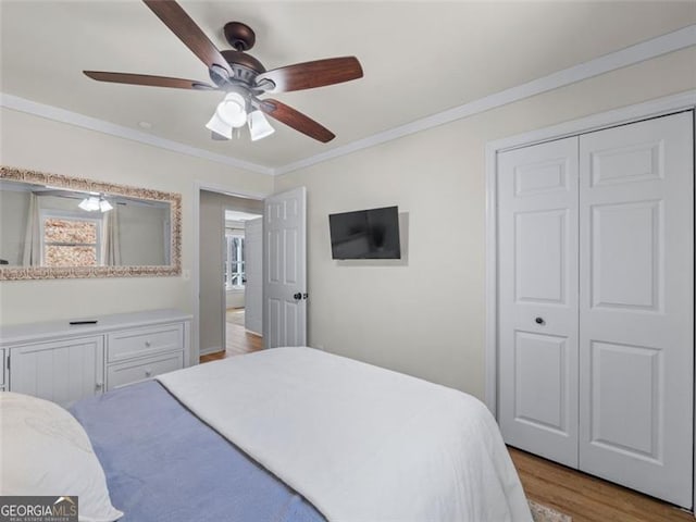 bedroom featuring crown molding, ceiling fan, light hardwood / wood-style floors, and a closet