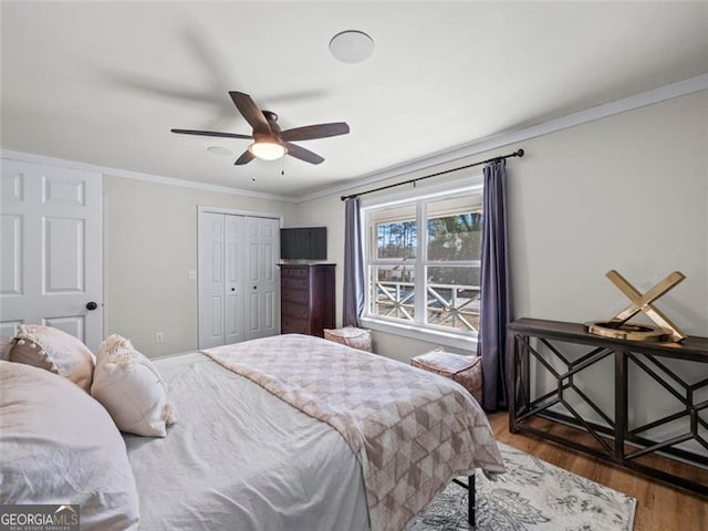 bedroom featuring crown molding, ceiling fan, dark hardwood / wood-style flooring, and a closet