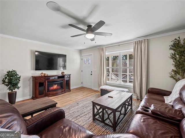 living room with crown molding, ceiling fan, and light hardwood / wood-style flooring