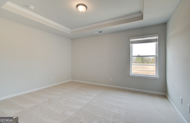 spare room with light colored carpet, a tray ceiling, and ornamental molding