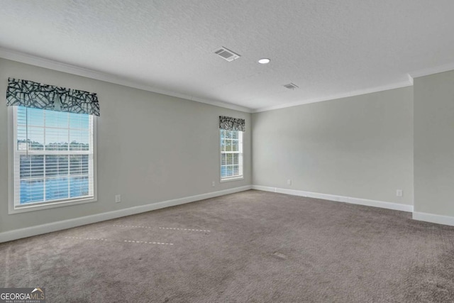 unfurnished room featuring crown molding, carpet, and a textured ceiling