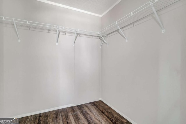 walk in closet featuring hardwood / wood-style flooring