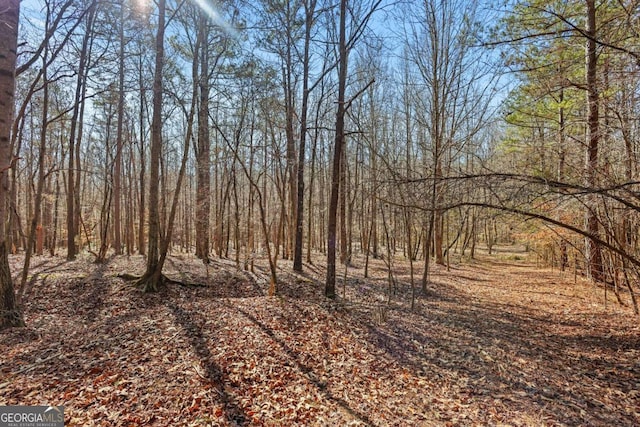LOT4 Old State Rd, Talmo, GA 30575