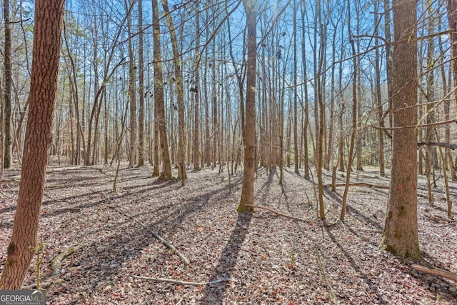LOT4 Old State Rd, Talmo, GA 30575