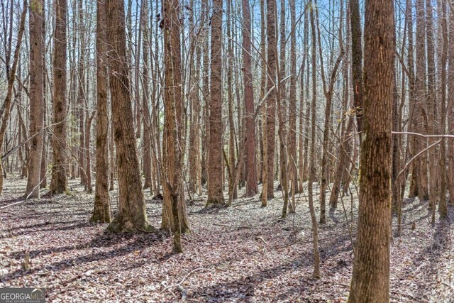 LOT4 Old State Rd, Talmo, GA 30575