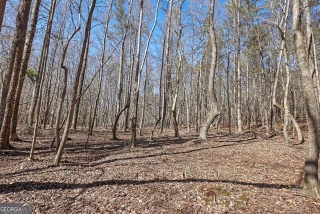 LOT4 Old State Rd, Talmo, GA 30575