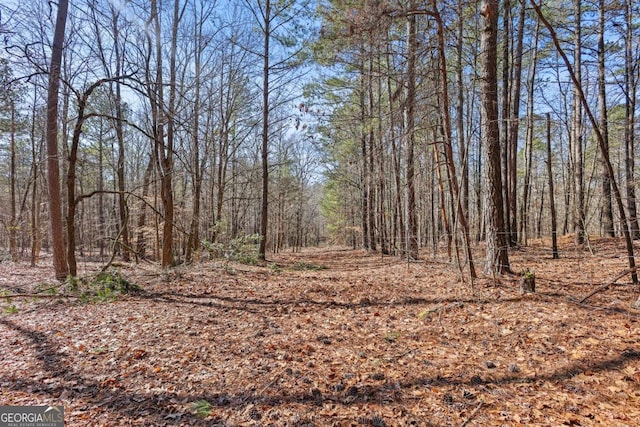 LOT4 Old State Rd, Talmo, GA 30575