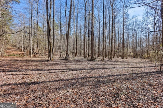 LOT4 Old State Rd, Talmo, GA 30575