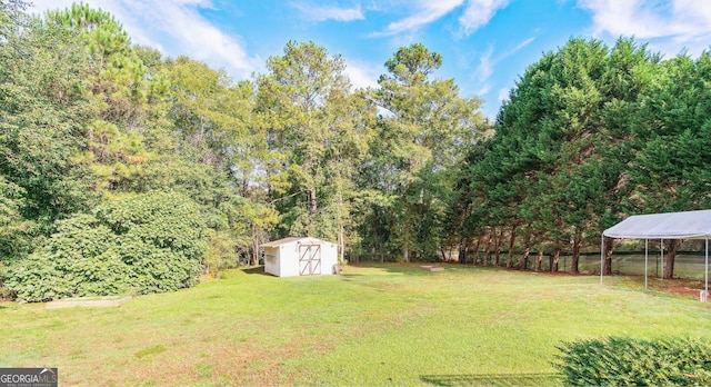 view of yard featuring a shed