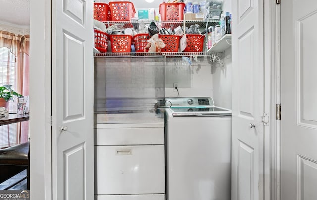 washroom with washer / clothes dryer