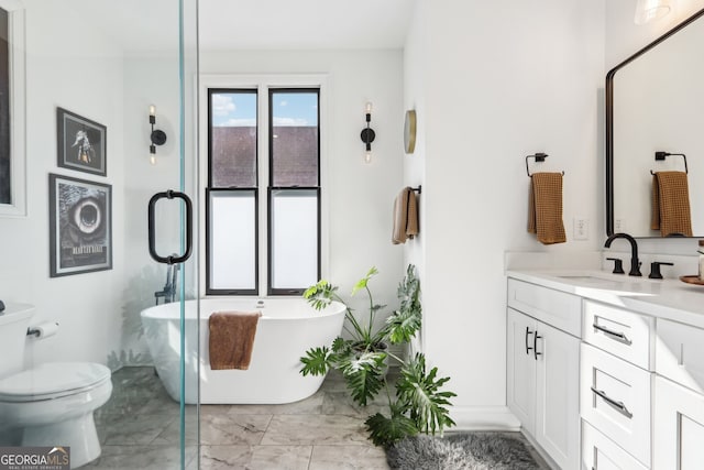 bathroom featuring vanity, toilet, and a bathing tub