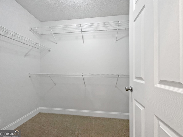 spacious closet with carpet flooring