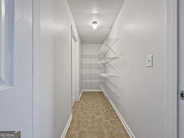 walk in closet featuring a paneled ceiling