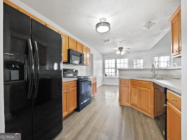 kitchen with plenty of natural light, sink, light wood-type flooring, and black appliances