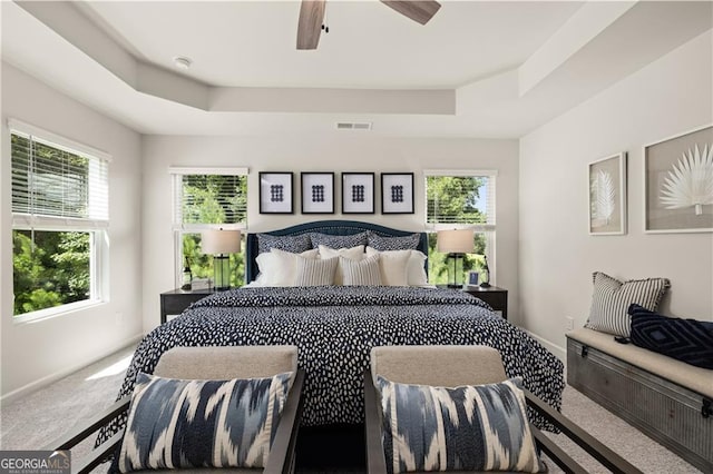 bedroom with multiple windows, carpet floors, and a raised ceiling