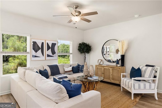 living room with ceiling fan and light hardwood / wood-style flooring