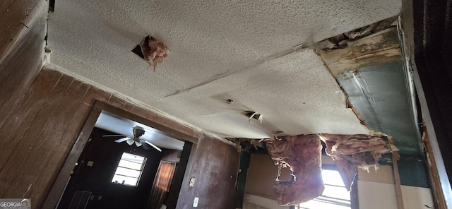 details featuring wooden walls and a textured ceiling