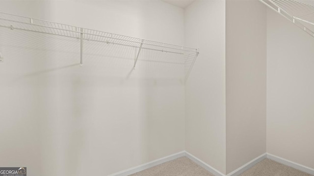 walk in closet with carpet flooring