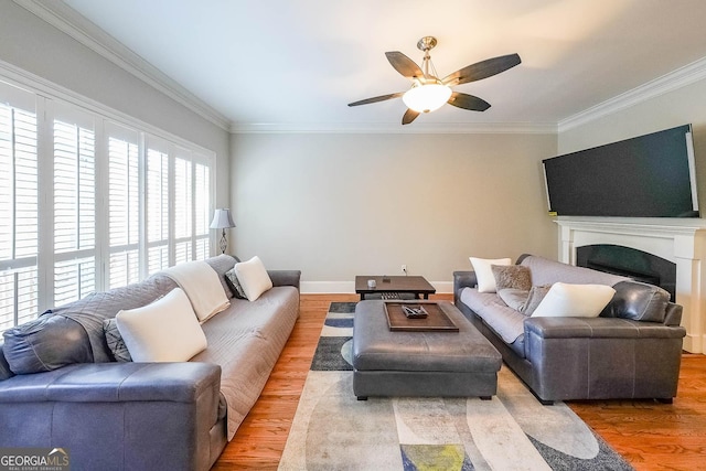 living room with hardwood / wood-style floors, crown molding, and ceiling fan