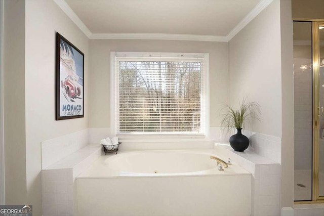 bathroom featuring crown molding, a healthy amount of sunlight, and plus walk in shower