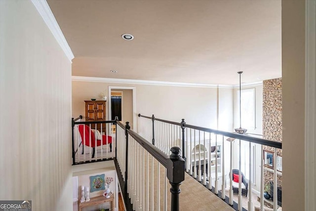 hall with crown molding and carpet floors