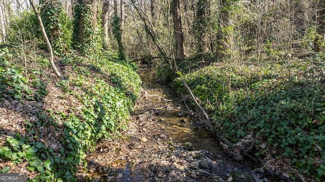 view of nature